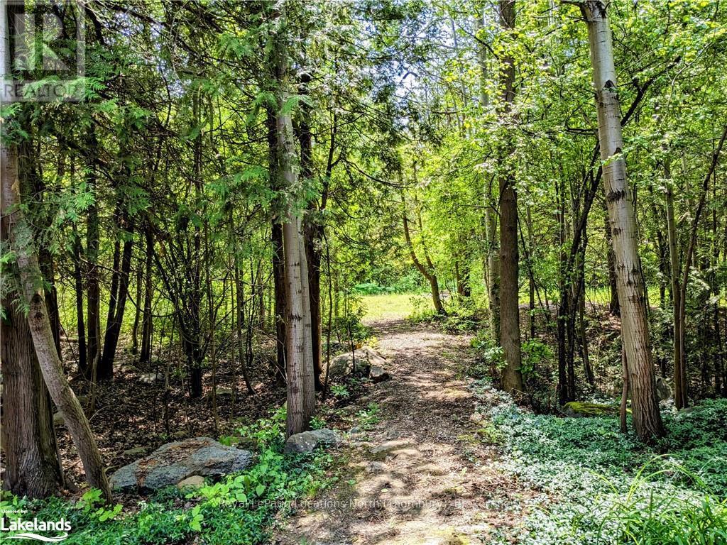 208658 Highway 26, Blue Mountains (Blue Mountain Resort Area), Ontario  N0H 1J0 - Photo 4 - X10895384