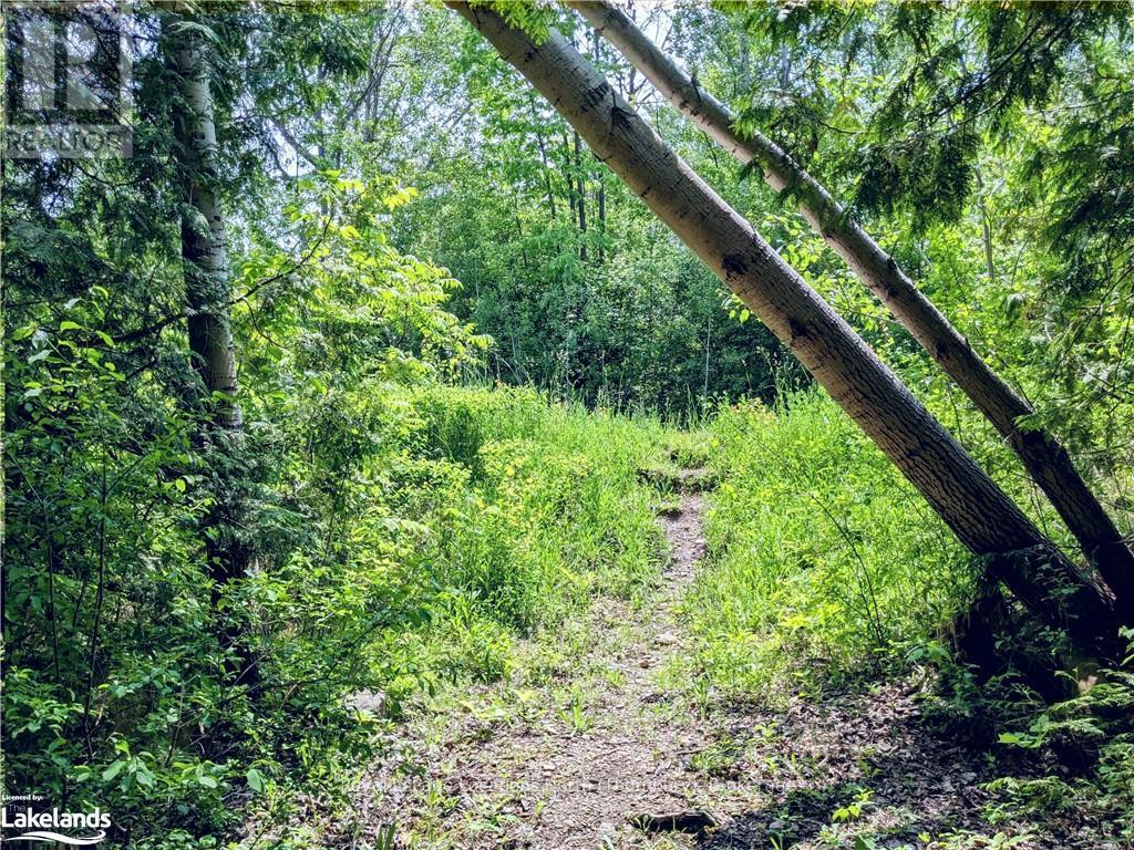 208658 Highway 26, Blue Mountains (Blue Mountain Resort Area), Ontario  N0H 1J0 - Photo 7 - X10895384