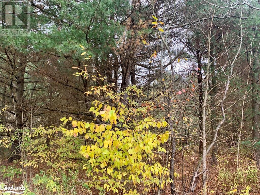 Lot 1 Unnamed Road, Whitestone, Ontario  P0A 1G0 - Photo 10 - X10895434