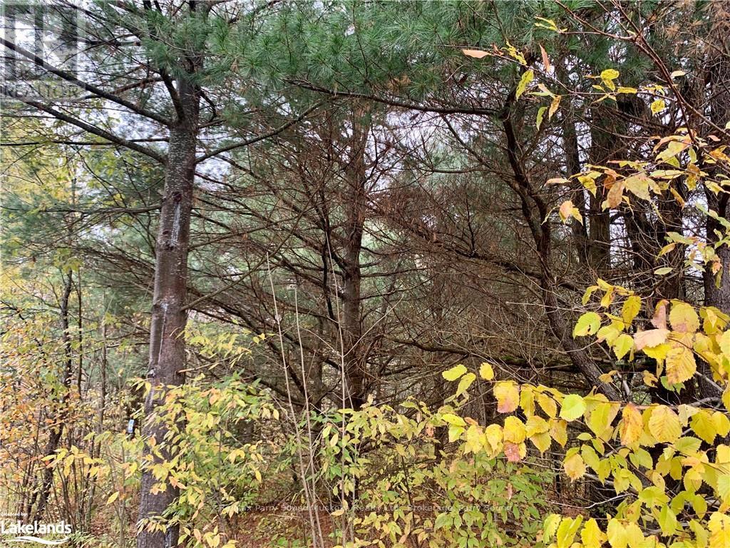 Lot 1 Unnamed Road, Whitestone, Ontario  P0A 1G0 - Photo 11 - X10895434