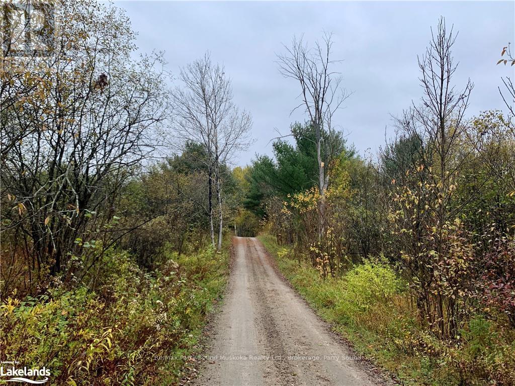 Lot 1 Unnamed Road, Whitestone, Ontario  P0A 1G0 - Photo 4 - X10895434