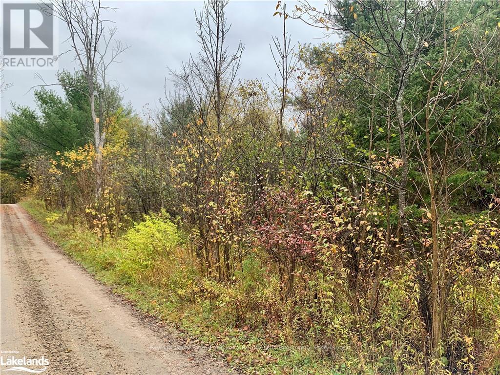 Lot 1 Unnamed Road, Whitestone, Ontario  P0A 1G0 - Photo 5 - X10895434