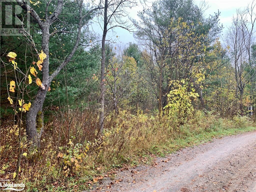 Lot 1 Unnamed Road, Whitestone, Ontario  P0A 1G0 - Photo 7 - X10895434