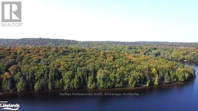 1448-1 West Oxbow Lake Road, Lake Of Bays, Ontario  P1H 2J6 - Photo 10 - X10895448