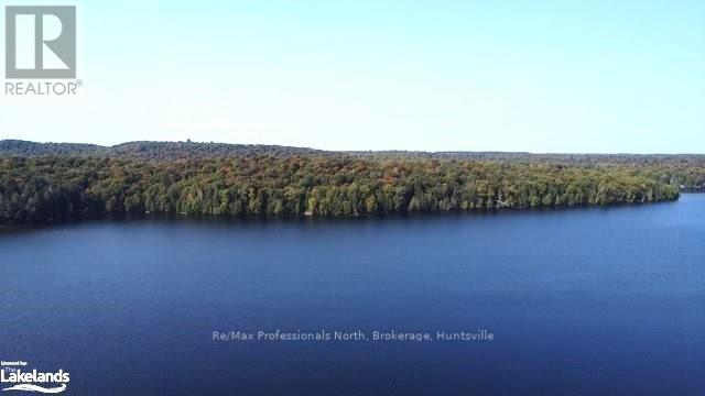 1448-1 West Oxbow Lake Road, Lake Of Bays, Ontario  P1H 2J6 - Photo 3 - X10895448