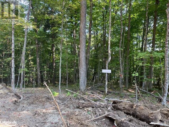 1448-1 West Oxbow Lake Road, Lake Of Bays, Ontario  P1H 2J6 - Photo 5 - X10895448
