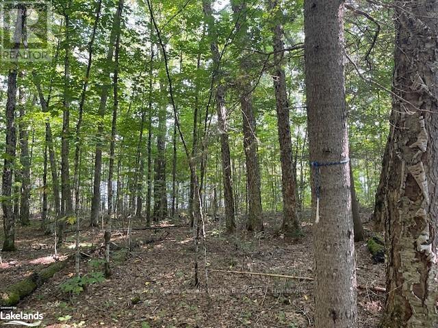 1448-1 West Oxbow Lake Road, Lake Of Bays, Ontario  P1H 2J6 - Photo 7 - X10895448