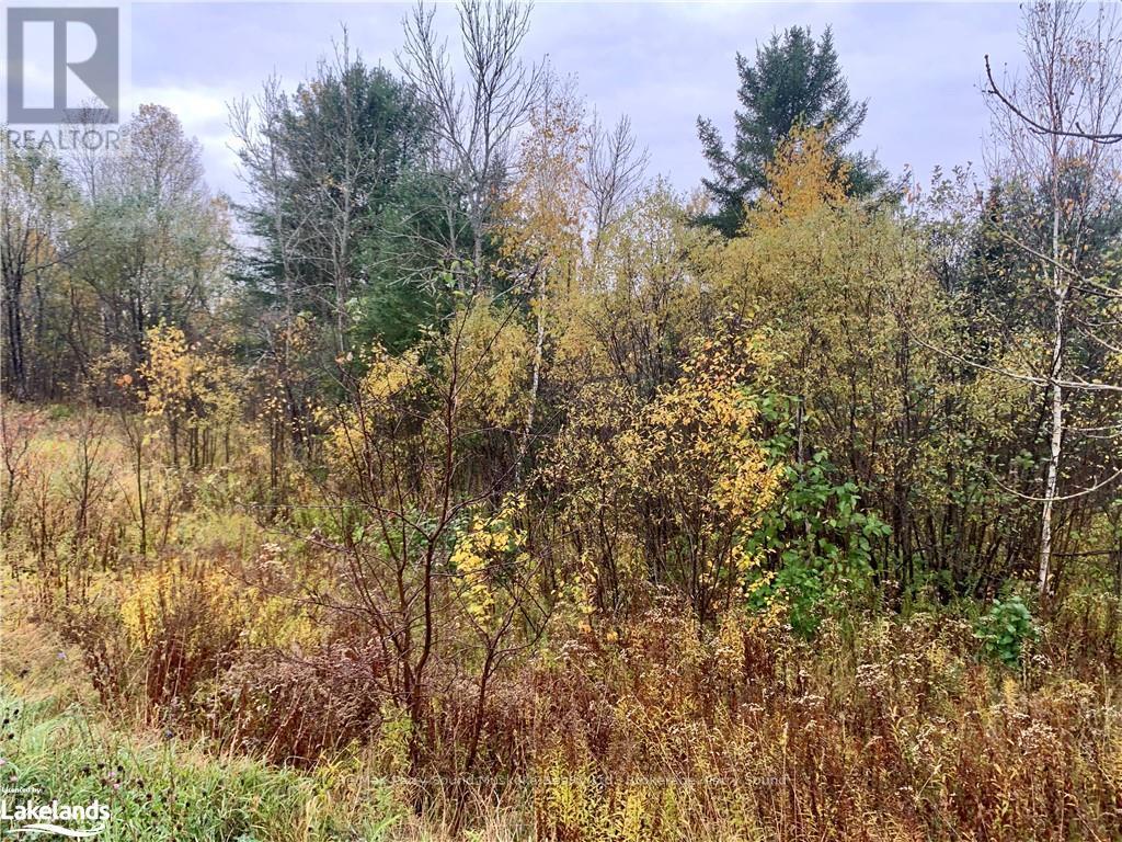 Lot 2 Moore Drive, Whitestone, Ontario  P0A 1G0 - Photo 3 - X10895456