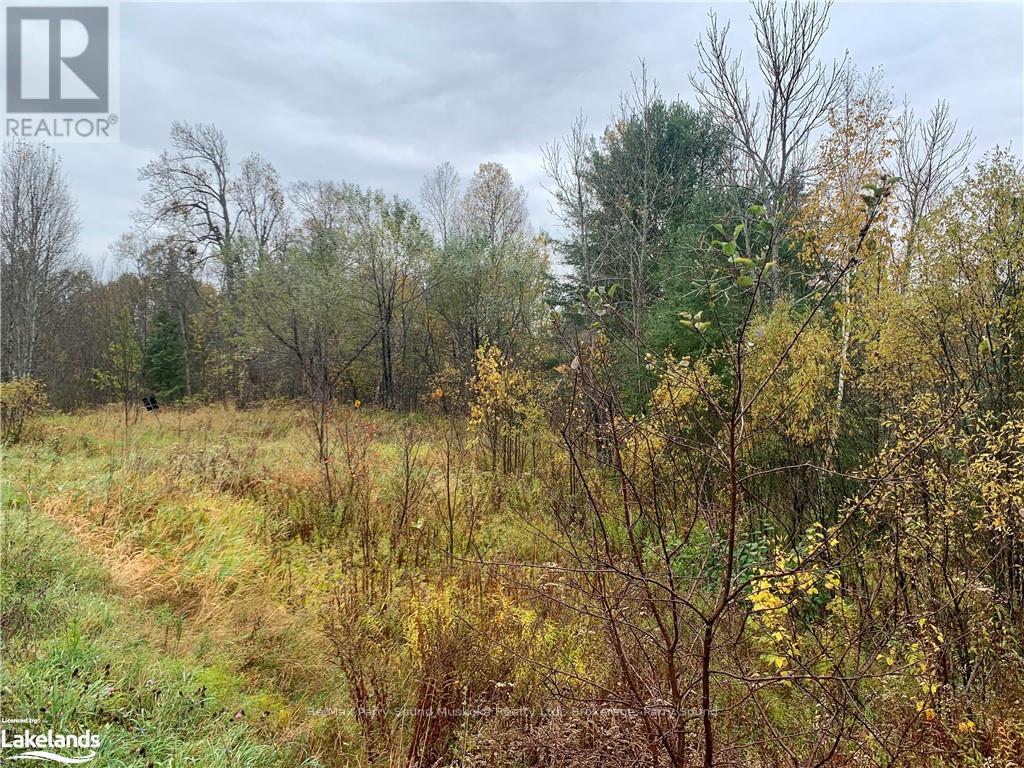 Lot 2 Moore Drive, Whitestone, Ontario  P0A 1G0 - Photo 4 - X10895456