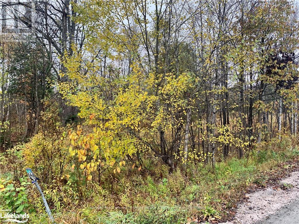 Lot 2 Moore Drive, Whitestone, Ontario  P0A 1G0 - Photo 7 - X10895456