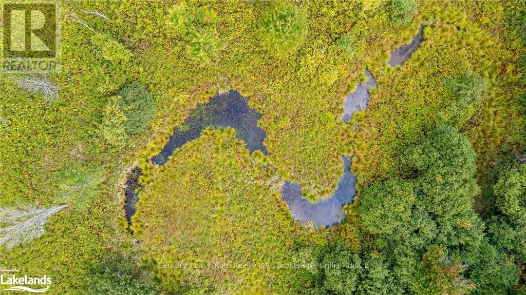 Lot 20 Beiers  Pt 1 Pl 35r18648 Road, Gravenhurst, Ontario  P0E 1N0 - Photo 17 - X10895534