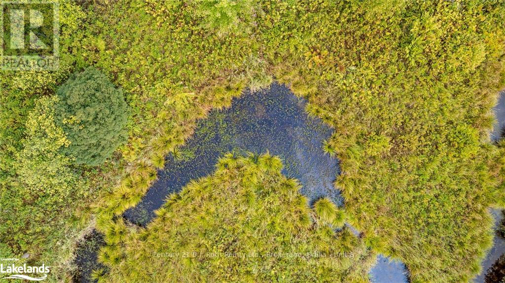 Lot 20 Beiers  Pt 1 Pl 35r18648 Road, Gravenhurst, Ontario  P0E 1N0 - Photo 18 - X10895534