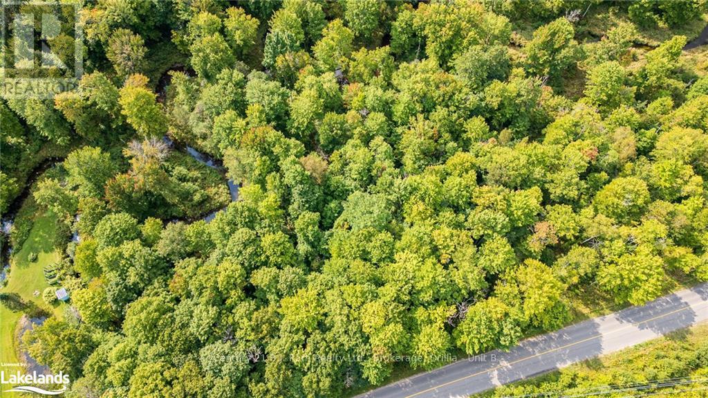 Lot 20 Beiers  Pt 1 Pl 35r18648 Road, Gravenhurst, Ontario  P0E 1N0 - Photo 9 - X10895534