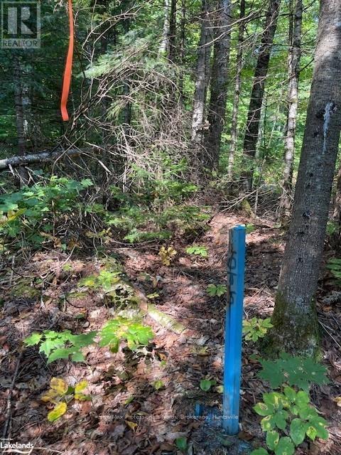 1448-4 West Oxbow Lake Road, Lake Of Bays, Ontario  P1H 2J6 - Photo 10 - X10895550