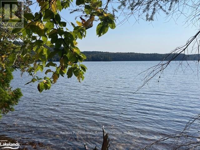 1448-4 West Oxbow Lake Road, Lake Of Bays, Ontario  P1H 2J6 - Photo 3 - X10895550
