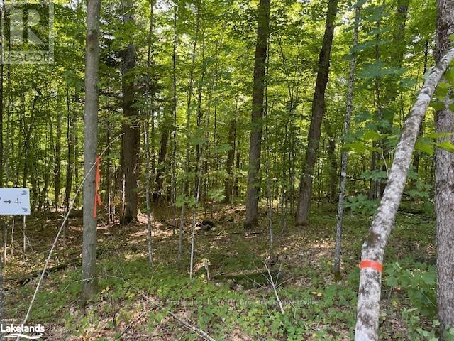 1448-4 West Oxbow Lake Road, Lake Of Bays, Ontario  P1H 2J6 - Photo 6 - X10895550