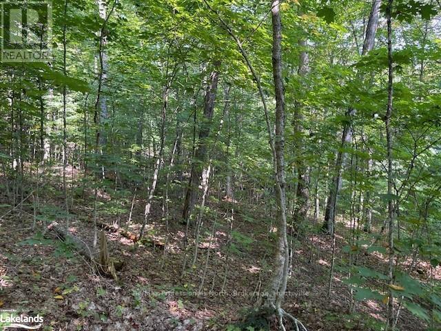 1448-4 West Oxbow Lake Road, Lake Of Bays, Ontario  P1H 2J6 - Photo 8 - X10895550