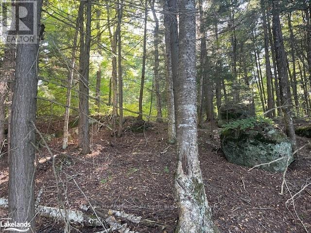 4 Stone Gate Lane, Bracebridge, Ontario  P1L 1X3 - Photo 5 - X10895810