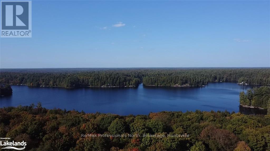 4 Stone Gate Lane, Bracebridge, Ontario  P1L 1X3 - Photo 8 - X10895810