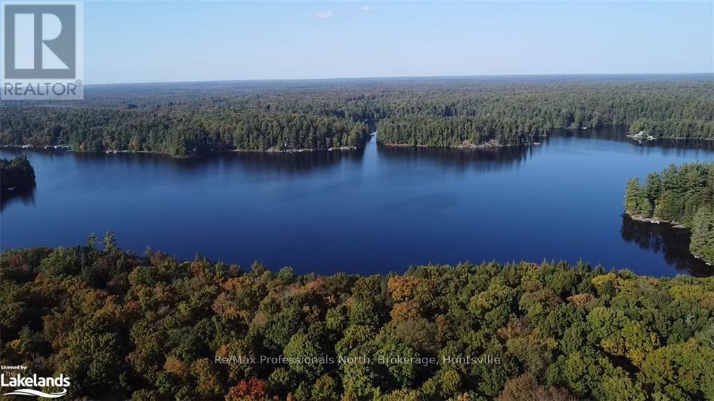 4 Stone Gate Lane, Bracebridge, Ontario  P1L 1X3 - Photo 9 - X10895810