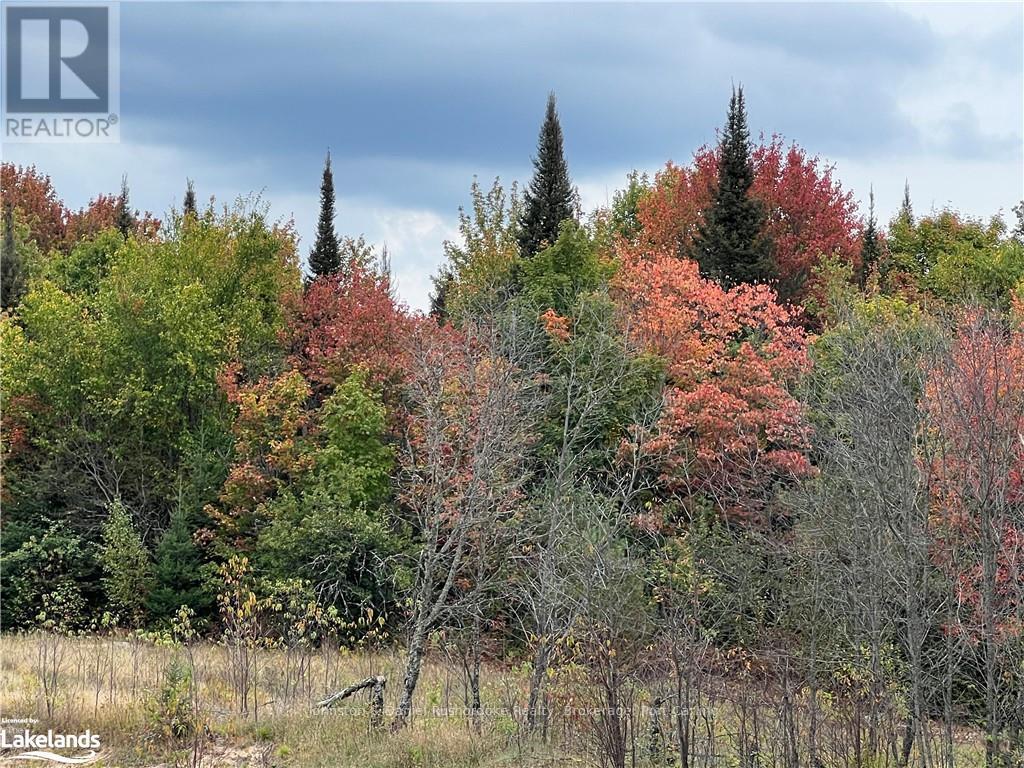 306 Goreville Road, Machar, Ontario  P0A 1X0 - Photo 2 - X10896124