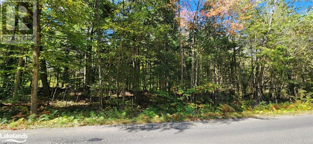 0 Skyline Drive, Armour, Ontario  P0A 1C0 - Photo 2 - X10896142