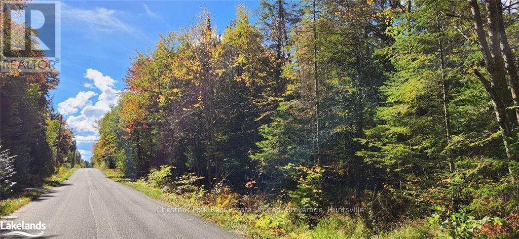 0 Skyline Drive, Armour, Ontario  P0A 1C0 - Photo 3 - X10896142