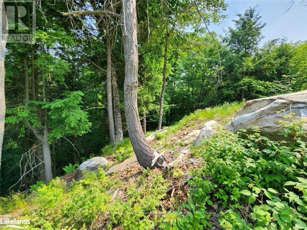 19 Old Hemlock Trail, Huntsville (Brunel), Ontario  P1H 0A7 - Photo 15 - X10897560