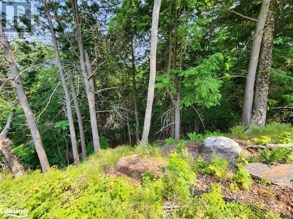 19 Old Hemlock Trail, Huntsville (Brunel), Ontario  P1H 0A7 - Photo 16 - X10897560