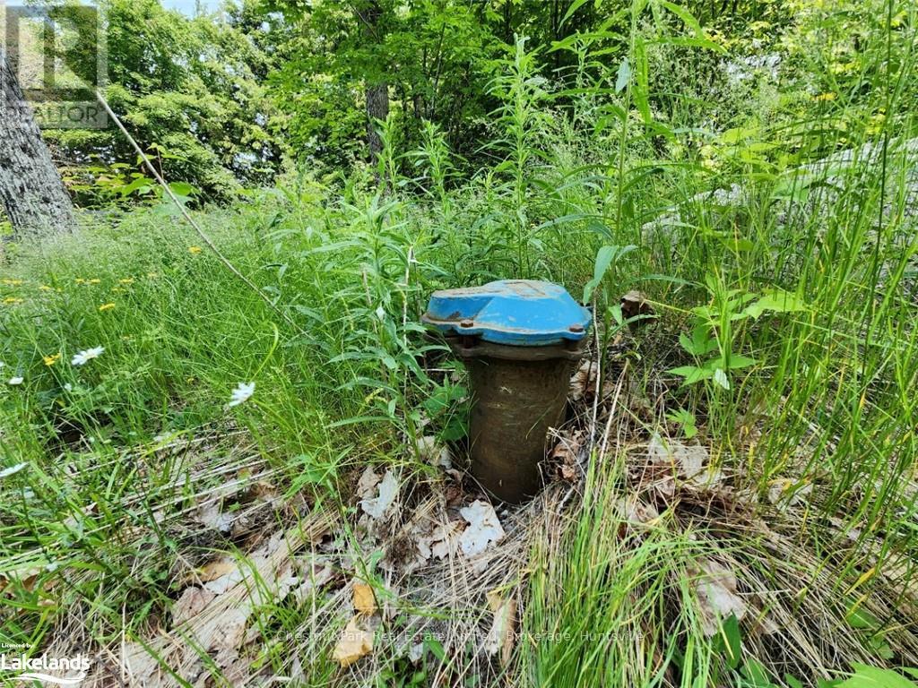 19 Old Hemlock Trail, Huntsville (Brunel), Ontario  P1H 0A7 - Photo 17 - X10897560