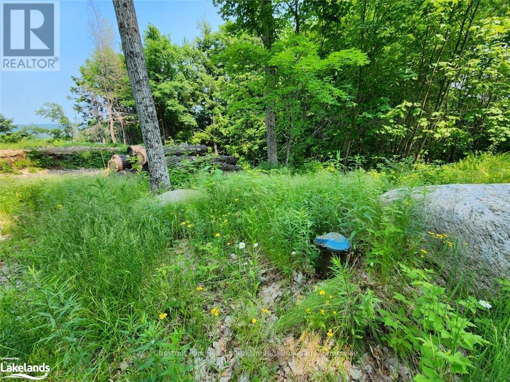 19 Old Hemlock Trail, Huntsville (Brunel), Ontario  P1H 0A7 - Photo 18 - X10897560