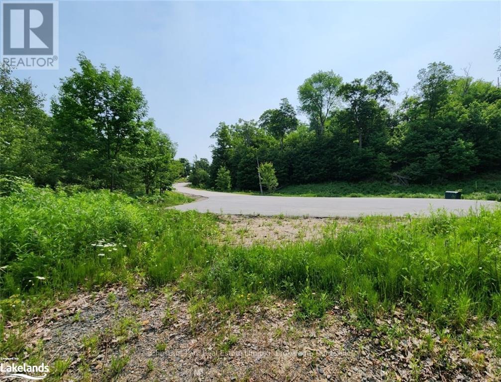 19 Old Hemlock Trail, Huntsville (Brunel), Ontario  P1H 0A7 - Photo 20 - X10897560