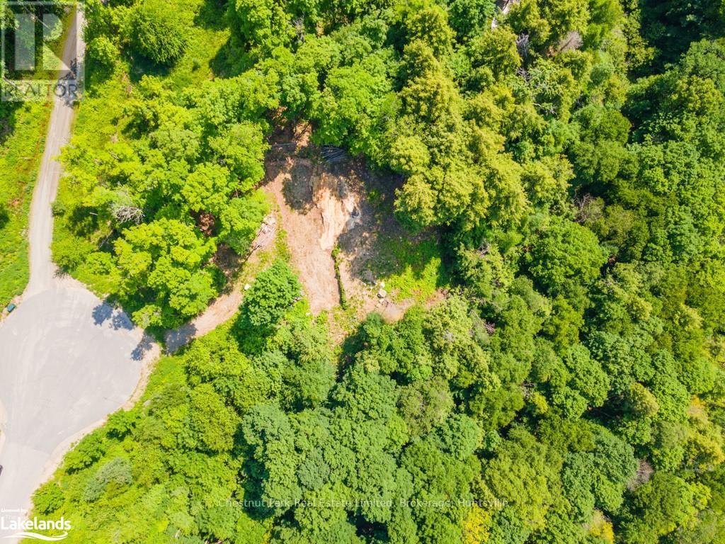 19 Old Hemlock Trail, Huntsville (Brunel), Ontario  P1H 0A7 - Photo 3 - X10897560