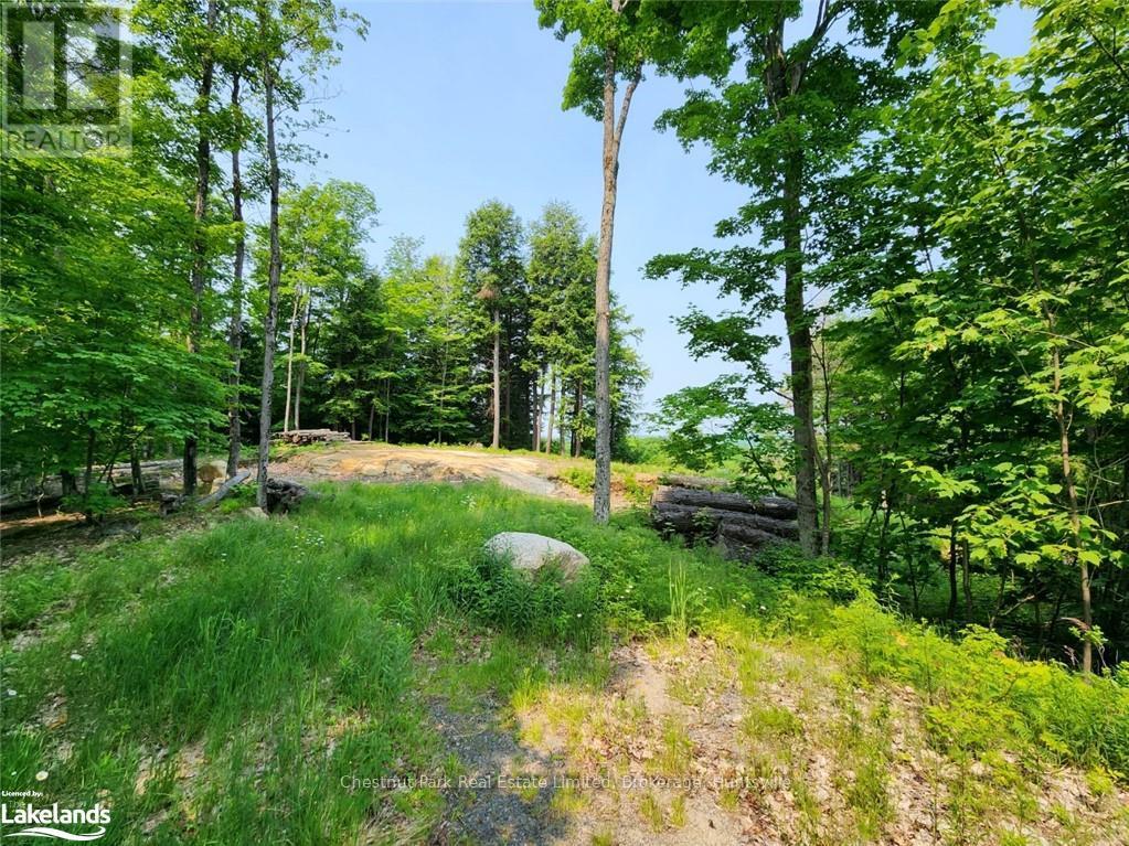 19 Old Hemlock Trail, Huntsville (Brunel), Ontario  P1H 0A7 - Photo 5 - X10897560