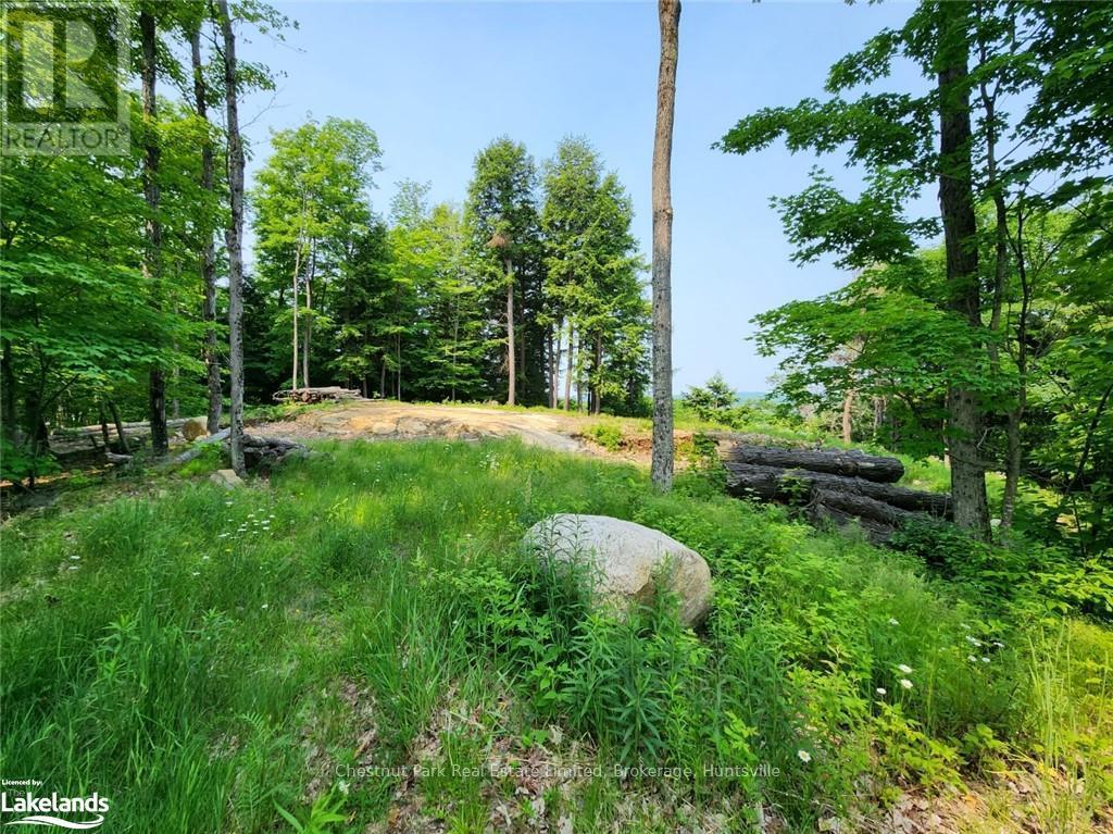 19 Old Hemlock Trail, Huntsville (Brunel), Ontario  P1H 0A7 - Photo 6 - X10897560