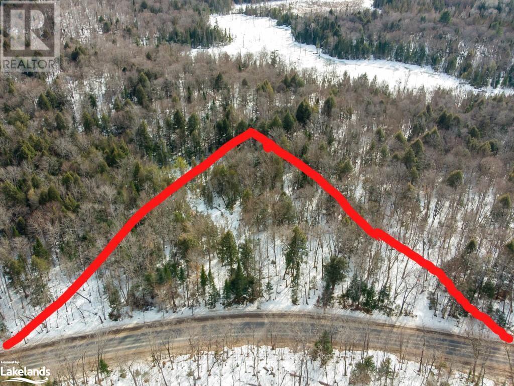 4655 Aspdin Road, Muskoka Lakes (Cardwell), Ontario  P0C 1J0 - Photo 10 - X10897755