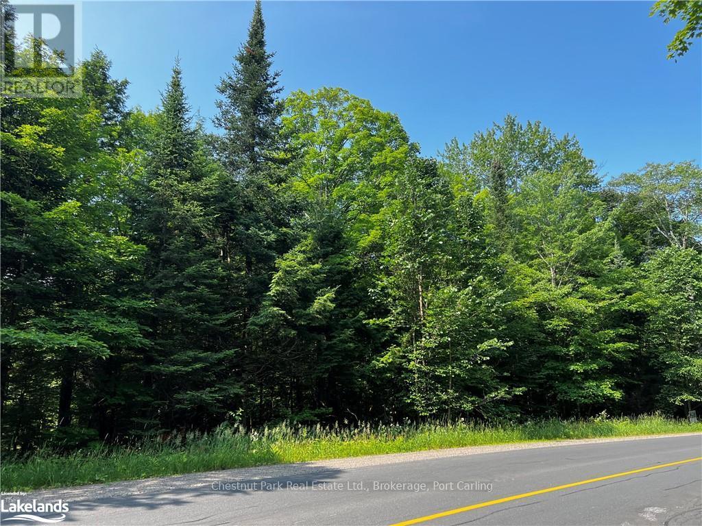 4655 Aspdin Road, Muskoka Lakes, Ontario  P0C 1J0 - Photo 2 - X10897755