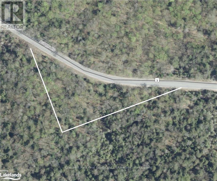 4655 Aspdin Road, Muskoka Lakes (Cardwell), Ontario  P0C 1J0 - Photo 5 - X10897755