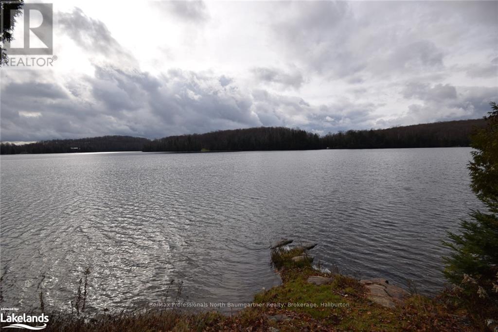 Lt 51 Wenona Lake Road, Dysart Et Al, Ontario  K0M 1S0 - Photo 11 - X10899857