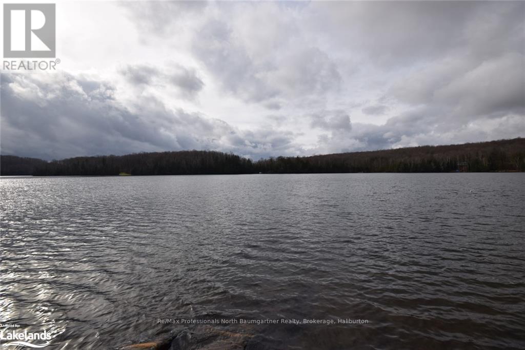 Lt 51 Wenona Lake Road, Dysart Et Al, Ontario  K0M 1S0 - Photo 13 - X10899857