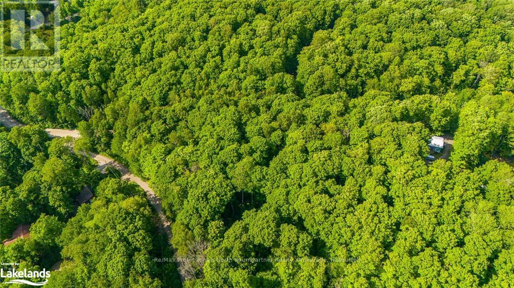 Lt 51 Wenona Lake Road, Dysart Et Al, Ontario  K0M 1S0 - Photo 15 - X10899857