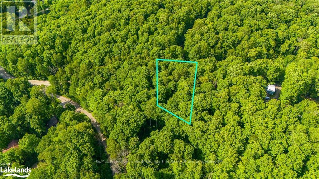 Lt 51 Wenona Lake Road, Dysart Et Al, Ontario  K0M 1S0 - Photo 4 - X10899857