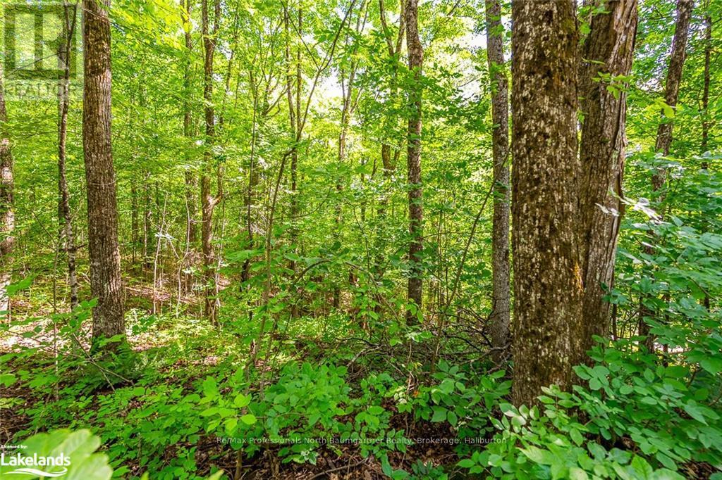 Lt 51 Wenona Lake Road, Dysart Et Al, Ontario  K0M 1S0 - Photo 5 - X10899857