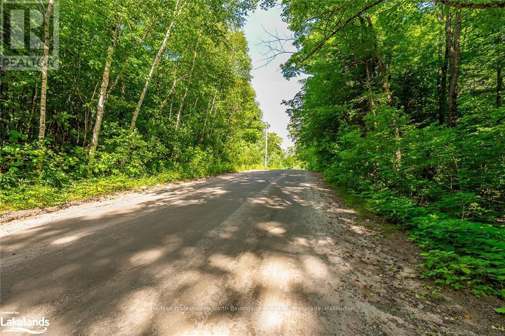 Lt 51 Wenona Lake Road, Dysart Et Al, Ontario  K0M 1S0 - Photo 8 - X10899857