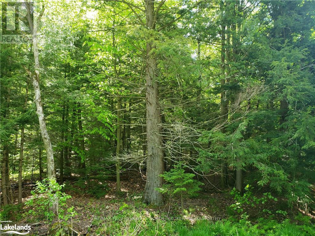 Pt 2 - 0 Kilworthy Road, Gravenhurst, Ontario  P0E 1G0 - Photo 8 - X10900094