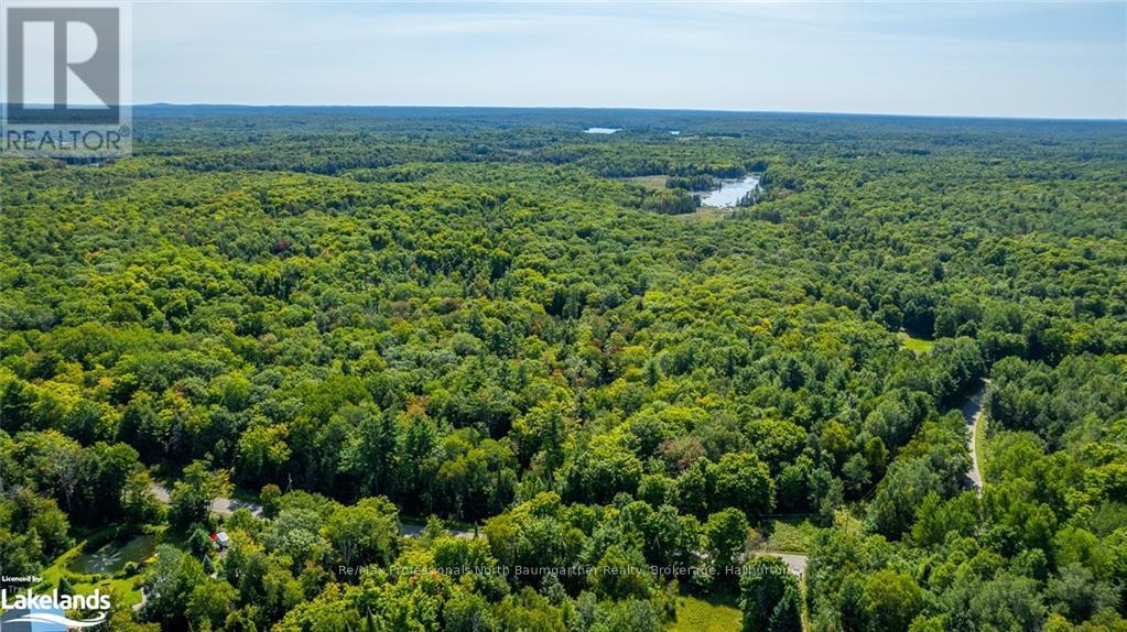0 Bethel Road, Minden Hills, Ontario  K0M 2K0 - Photo 10 - X10899794