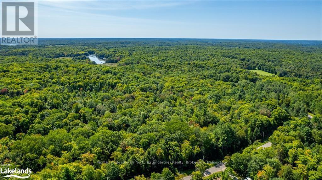 0 Bethel Road, Minden Hills, Ontario  K0M 2K0 - Photo 12 - X10899794