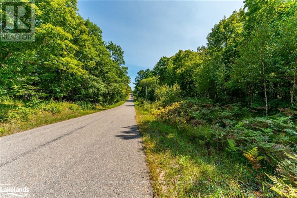 0 Bethel Road, Minden Hills, Ontario  K0M 2K0 - Photo 6 - X10899794