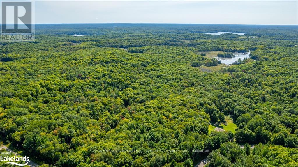 0 Bethel Road, Minden Hills, Ontario  K0M 2K0 - Photo 7 - X10899794