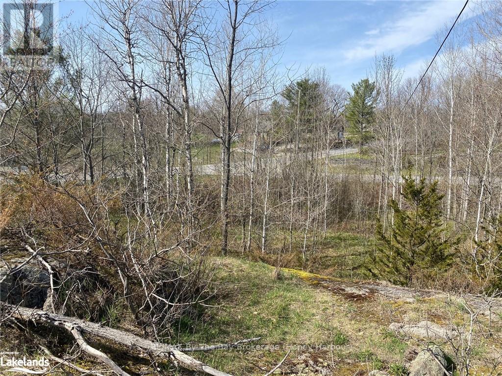 58 Lodge Road, Georgian Bay, Ontario  L0K 1S0 - Photo 4 - X10902777